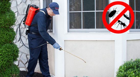 Yakakent Kene İlaçlama böcek ilaçlama ve haşere kontrolü — ilaclama-tr.com